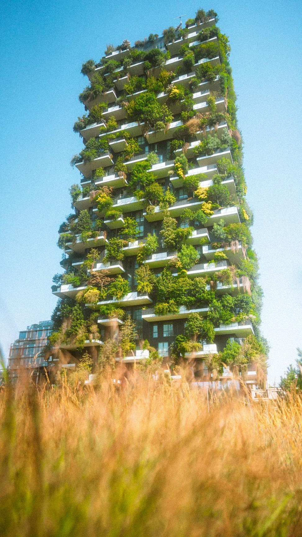 EcoTech Innovation Hub